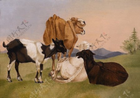 欧洲牛群油画