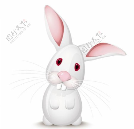 白色大耳兔子卡通大