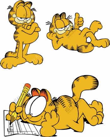 美国动漫加菲猫卡通造型