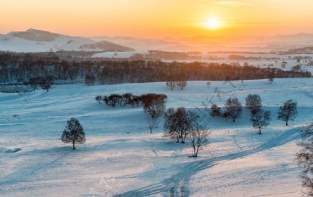 夕阳下的雪原美景
