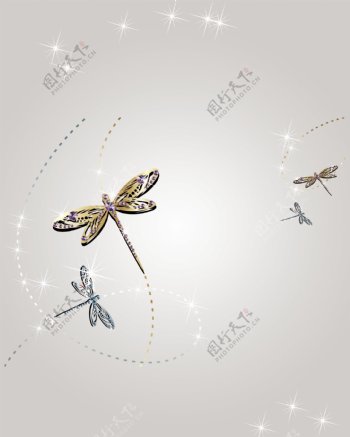 蜻蜓图案