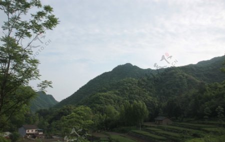 乡村