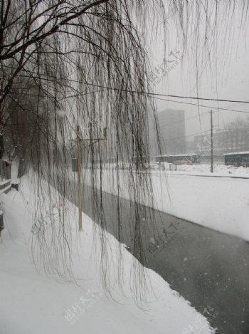 雪景