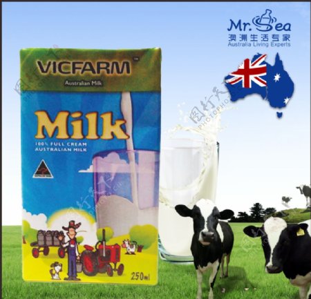 澳洲进口牛奶MILK