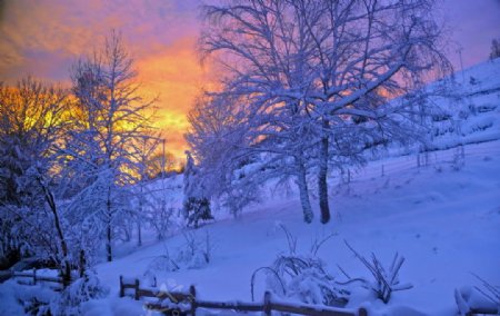 冬季黄昏日落雪景