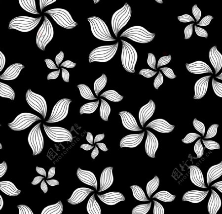 黑白花背景