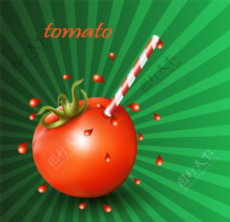 西红柿水果背景蔬菜逼真