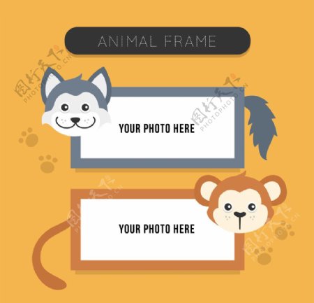 动物可爱的相框