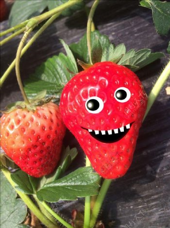 搞怪草莓