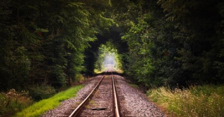 通往森林的铁路