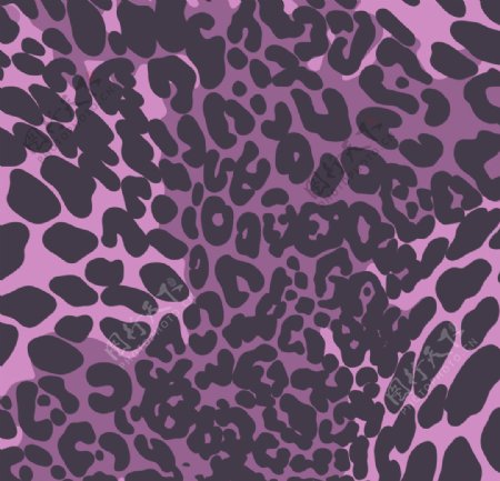 紫色动物背景