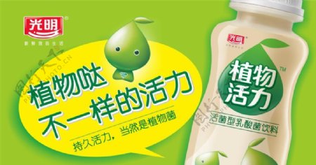 乳酸菌饮料海报宣传活动模板源文