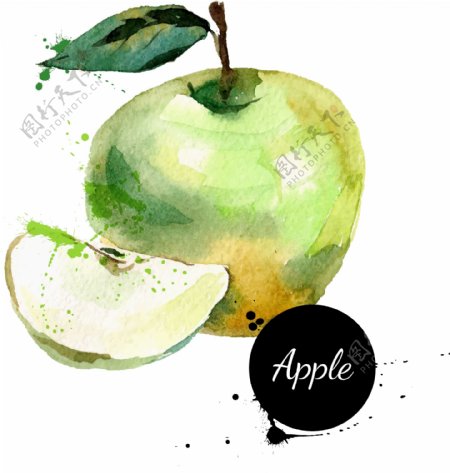 彩绘水果苹果矢量素材