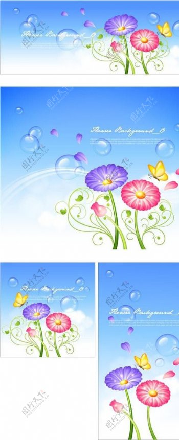 水泡蝴蝶和彩色菊花