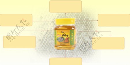 蜂蜜网站图