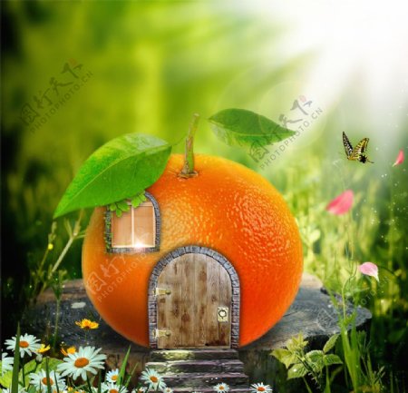 甜橙小屋