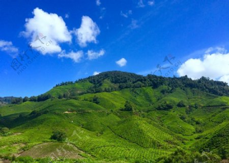 蓝天下的山坡