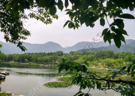 北京香山植物园美图