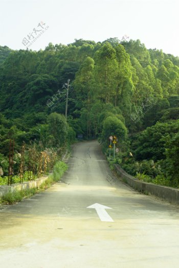 森林山路摄影