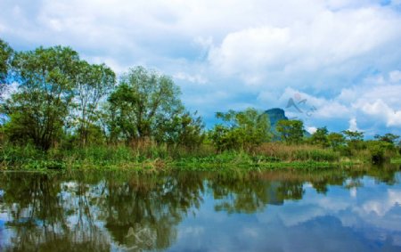 古柳河风景