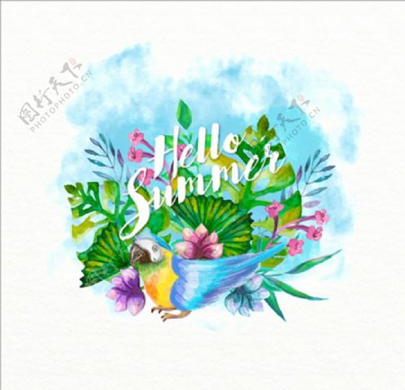 手绘水彩夏日鹦鹉花卉插图