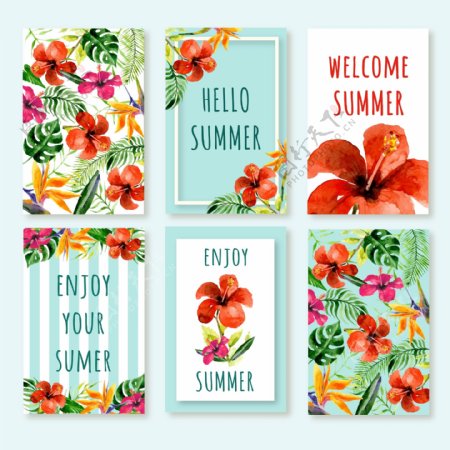 六款夏季热带花卉卡片