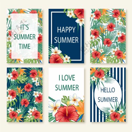 可爱的夏日卡片收集