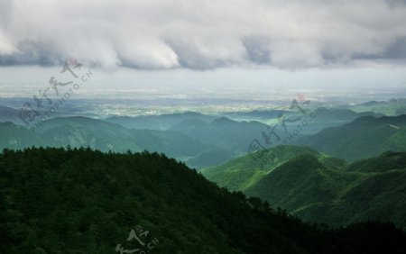 青山