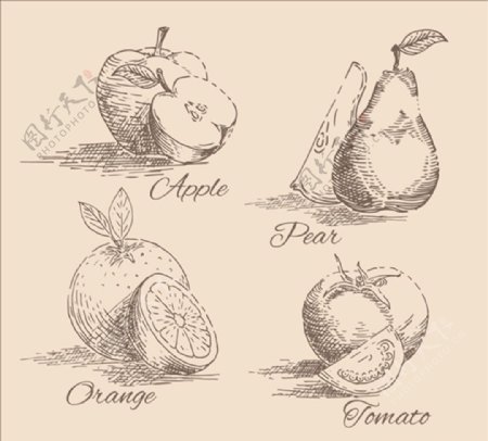 手绘素描四种水果