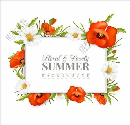 夏季花卉框架海报