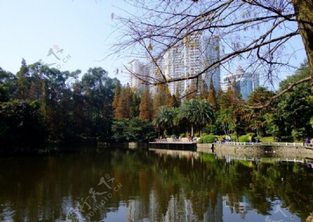 广州天河公园