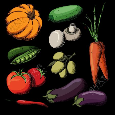色彩艳丽的蔬菜手绘
