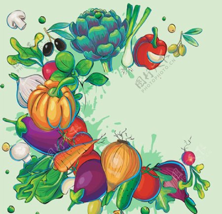 多种有机蔬菜组合插图
