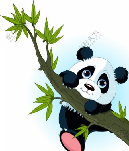 爬树枝的熊猫
