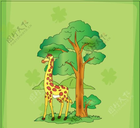 大树下的长颈鹿