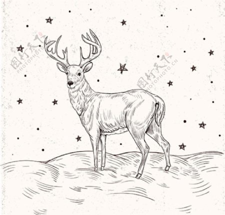 手绘圣诞节写实驯鹿