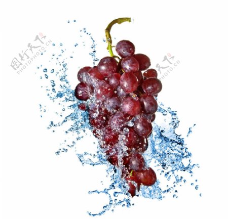 水滴葡萄