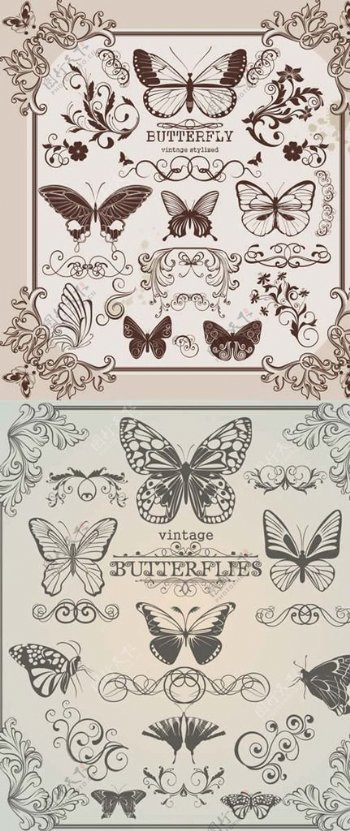 蝴蝶图案
