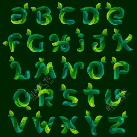 26个绿色树叶字母