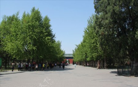 北京天坛北门