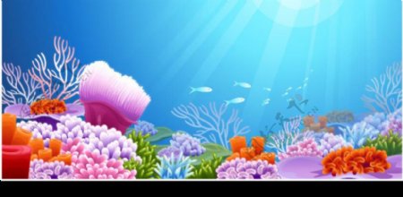海底世界美丽珊瑚