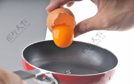 新鲜土鸡蛋蛋黄