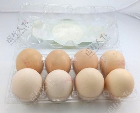 土鸡蛋蛋类
