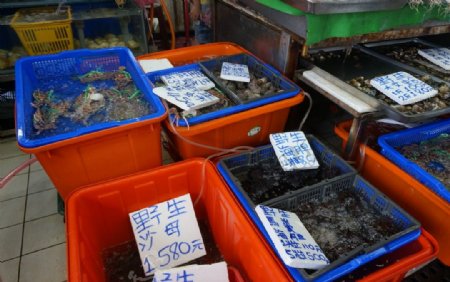 台湾鱼市