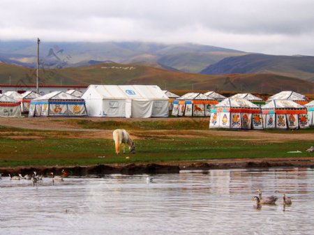 湖边的蒙古牧场