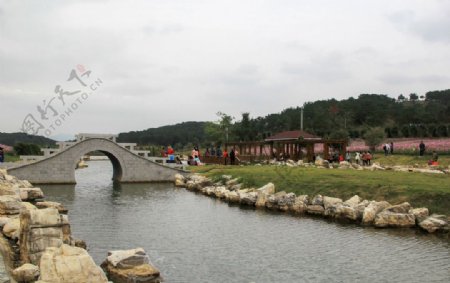 公园的桥