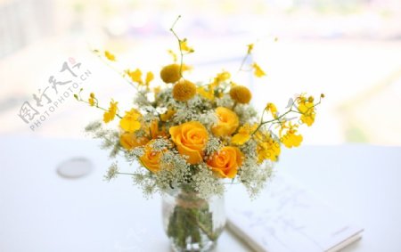 黄玫瑰小桌花