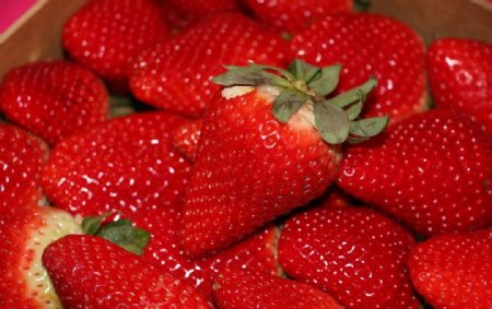 诱人鲜红草莓