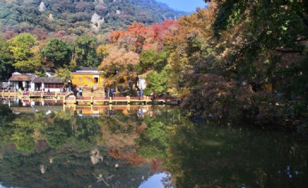 天平山红枫