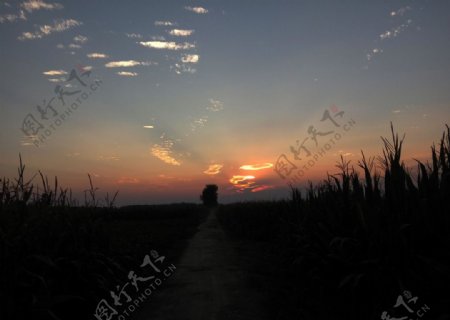 夕阳西下半晚晚霞